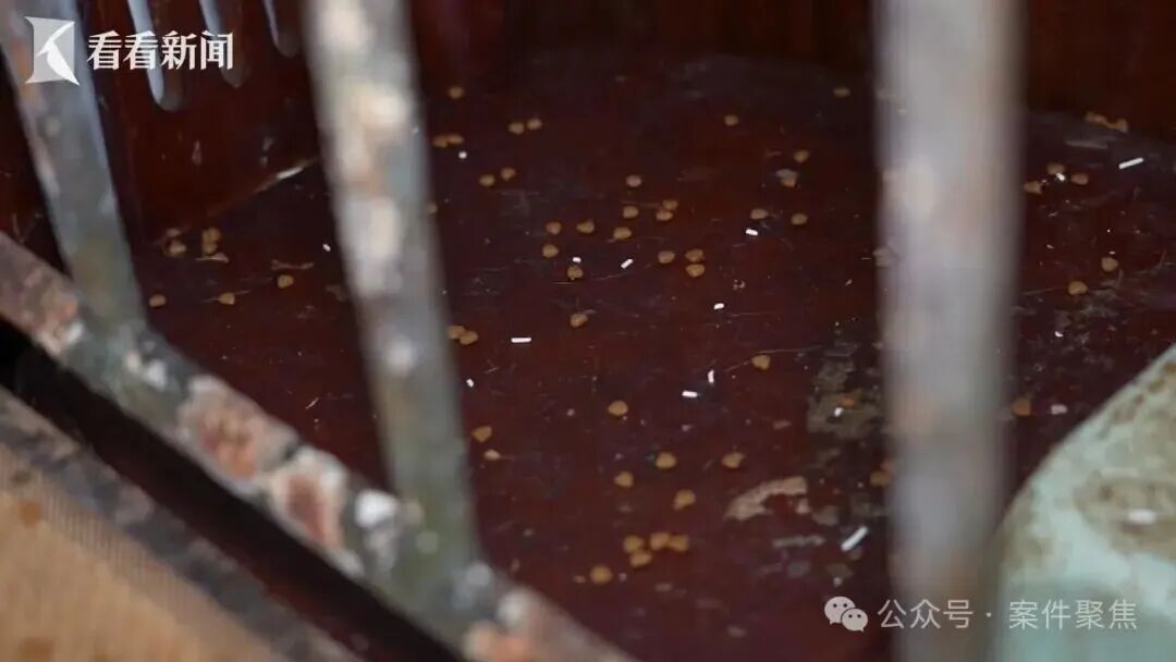 浓烈恶臭！四年不敢开窗通风！邻居家被撬开，眼前一幕惊呆众人……