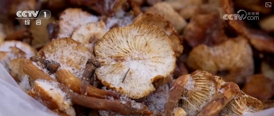 百年大集“热”出新活力 感受乡村活力、回忆童年时光成为过节新时尚