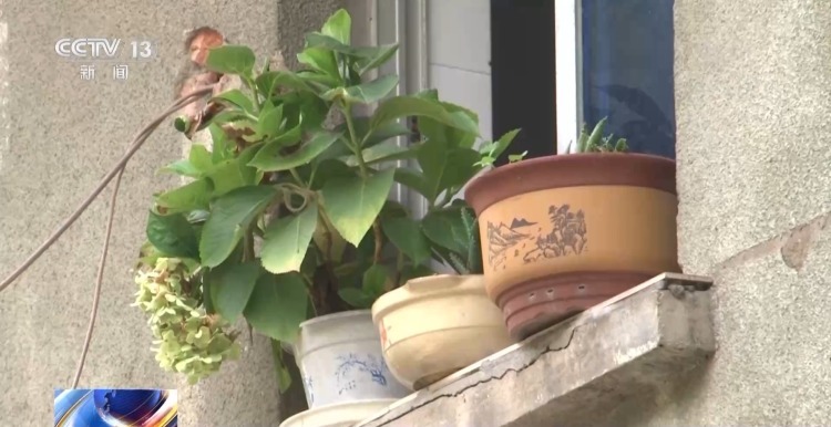 法治在线丨遗嘱、遗赠扶养协议怎样订立才有效？一文了解