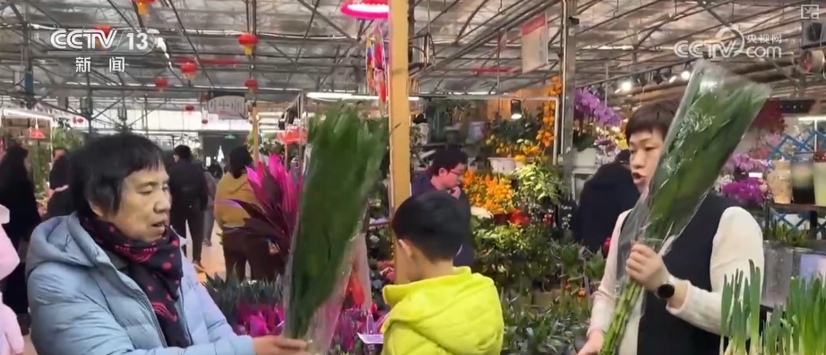 “鸿运当头”“幸福到来”鲜切花供销两旺 美丽经济“红火”出海开辟大市场