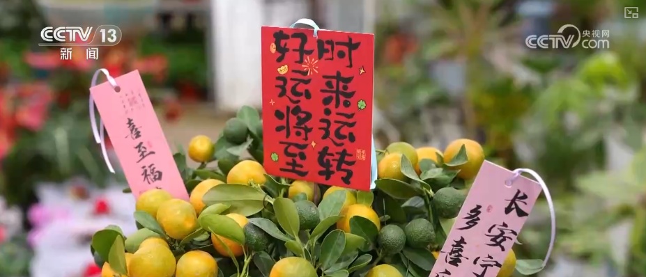 “鸿运当头”“幸福到来”鲜切花供销两旺 美丽经济“红火”出海开辟大市场