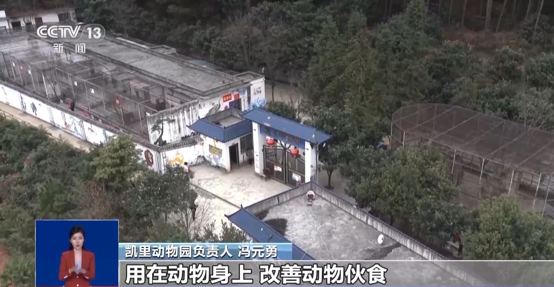 从默默无闻到圈粉无数 山林角落的“袖珍动物园”成了远近闻名的打卡地