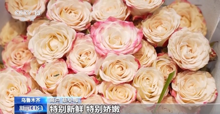 特色年宵花上新 各地畅销品种不同 你选哪一种? 特色年宵花上新 各地畅销品种不同 你选哪一种?