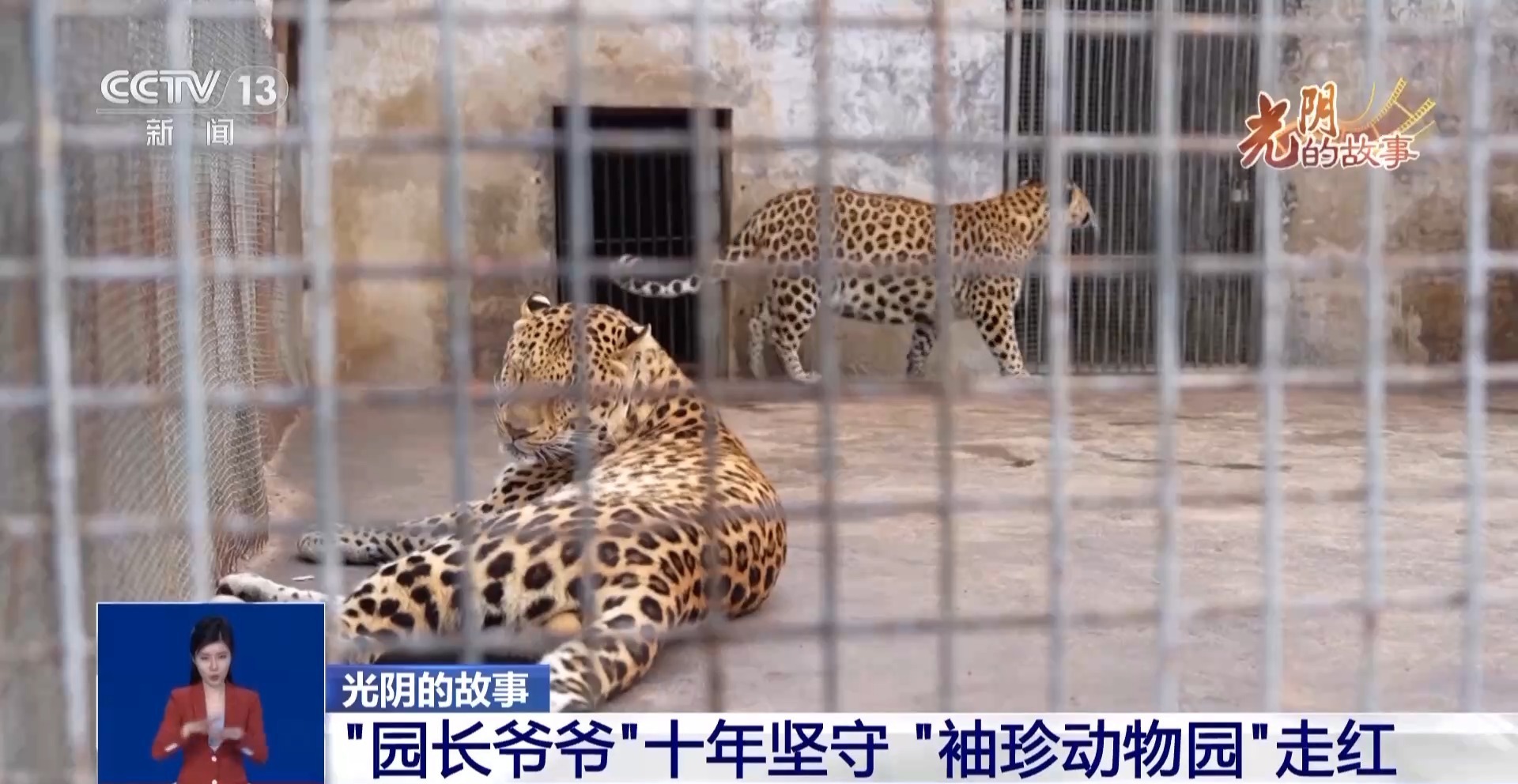 从默默无闻到圈粉无数 山林角落的“袖珍动物园”成了远近闻名的打卡地