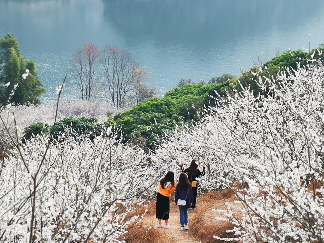 最低8℃!元旦假期,广州还有冷空气 最低8℃!元旦假期,广州还有冷空气
