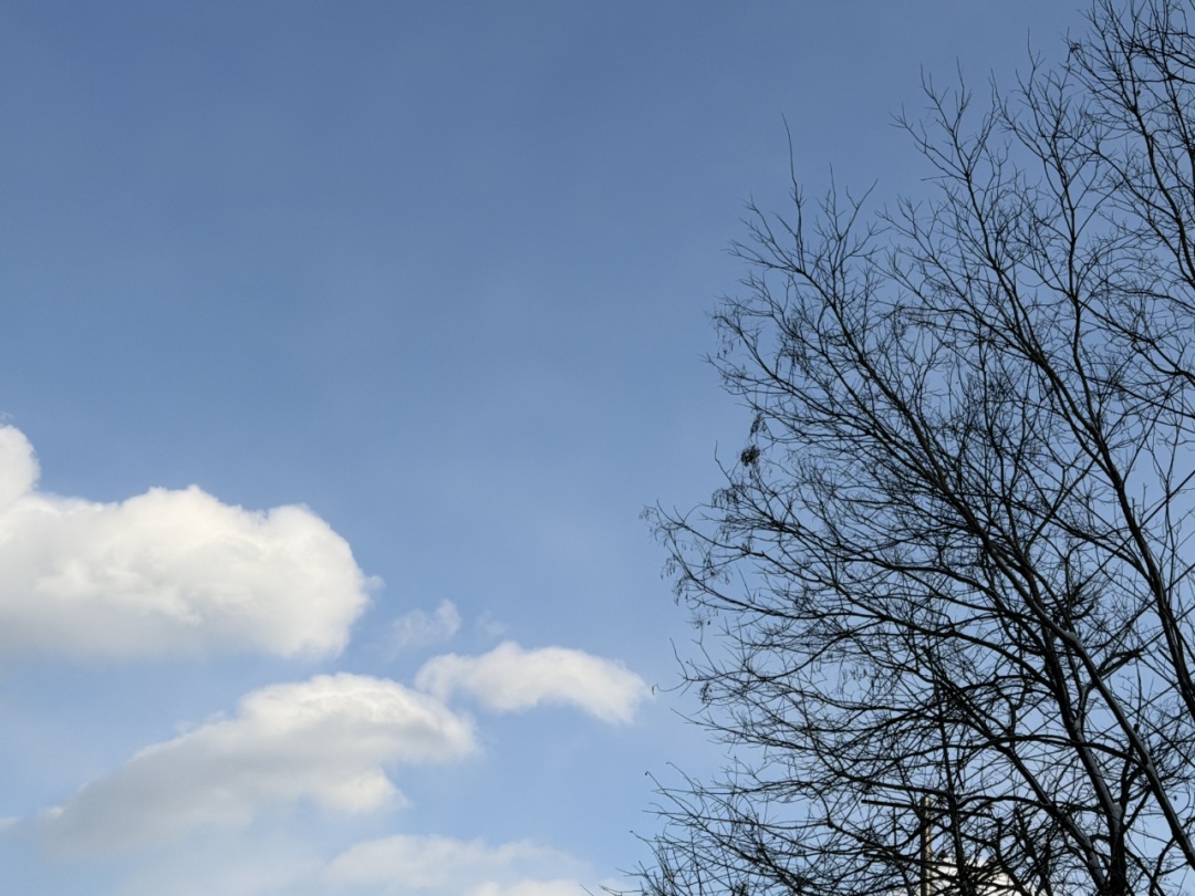 寒潮预警！2025年最后3天，一天比一天冷！