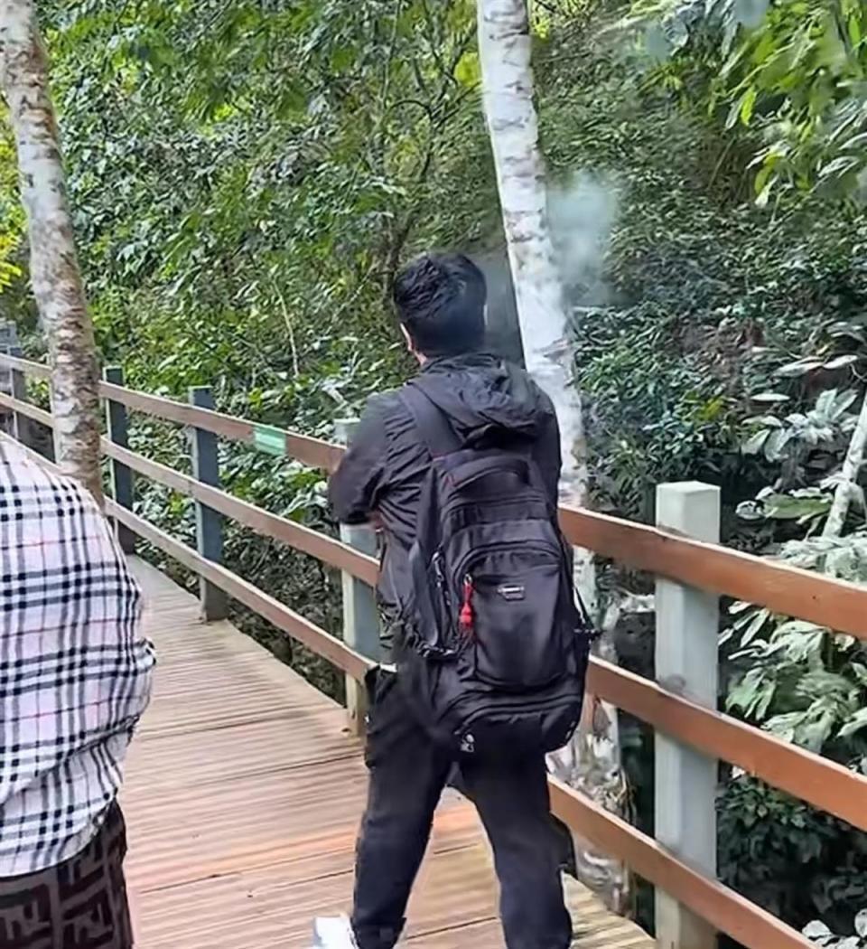 游客拍照时摇树致国家一级保护动物懒猴坠落，景区：有专人处理，目前懒猴状况正常