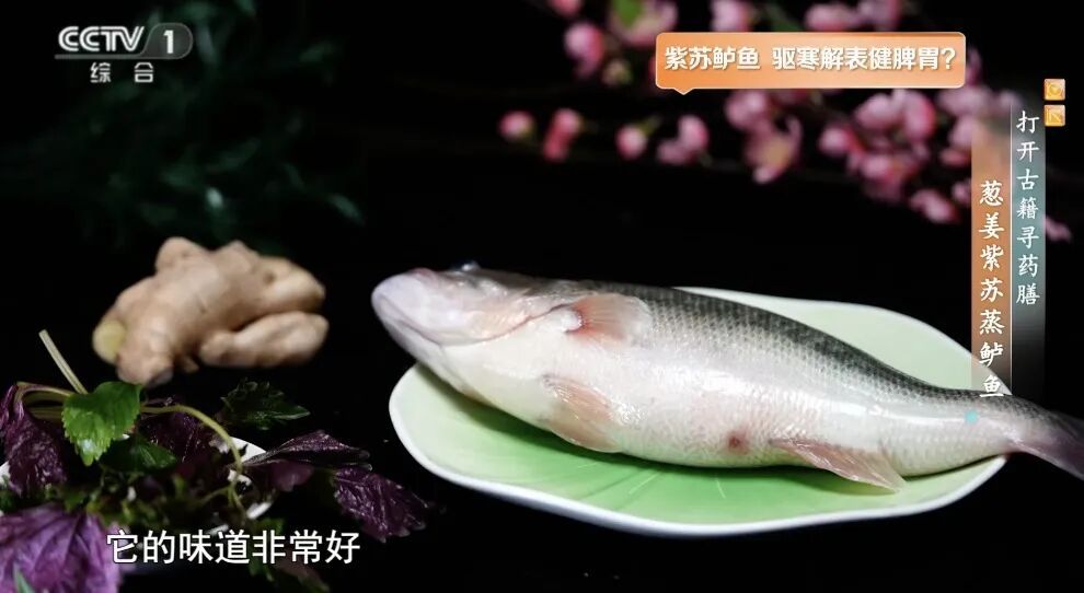 会吃鱼让你长寿又聪明!冬季推荐你这样吃→ 会吃鱼让你长寿又聪明!冬季推荐你这样吃→