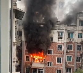 躲都来不及!女子差点因为它破相 躲都来不及!女子差点因为它破相