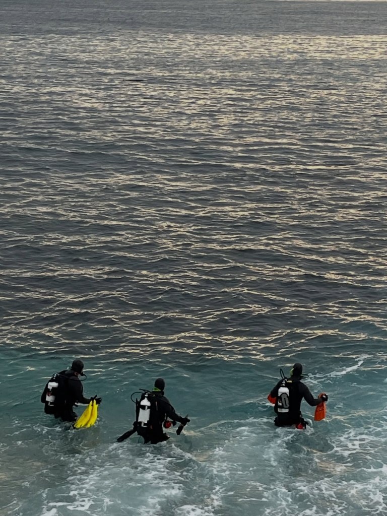 美国女子被鲨鱼叼走，丈夫亲眼目睹，遗体在海上漂流一周后被发现