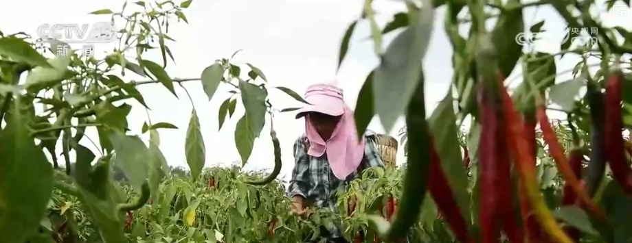 消费、出入境游、冰雪游，热热热！假日氛围拉满 多领域掀热潮释放经济“热”活力