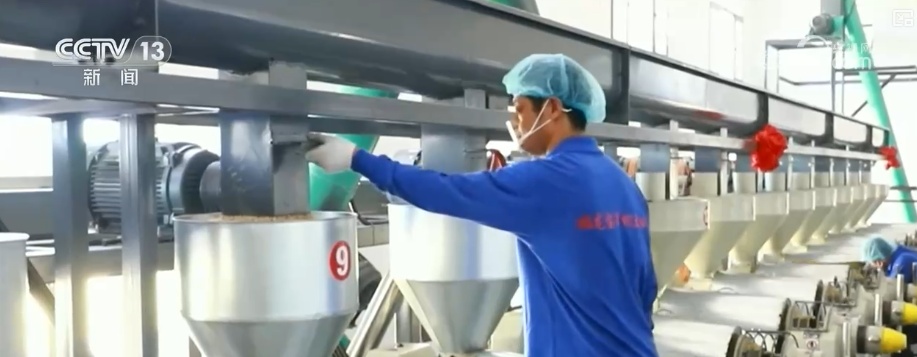 消费、出入境游、冰雪游，热热热！假日氛围拉满 多领域掀热潮释放经济“热”活力