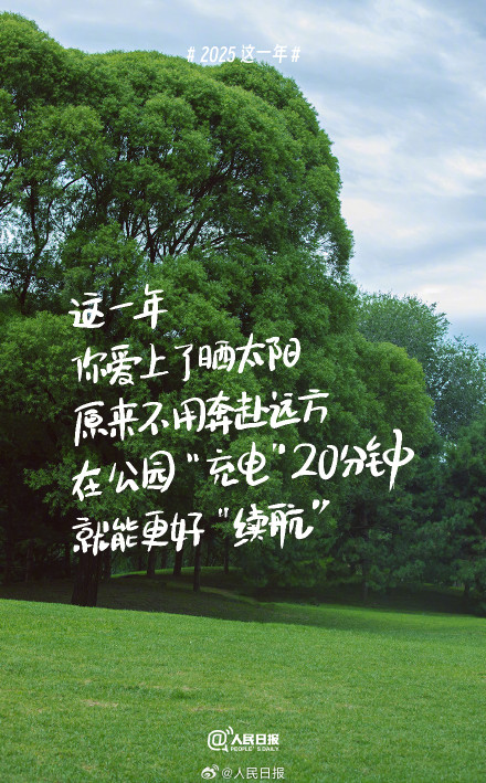 2025这一年你过得怎么样 2025这一年你过得怎么样