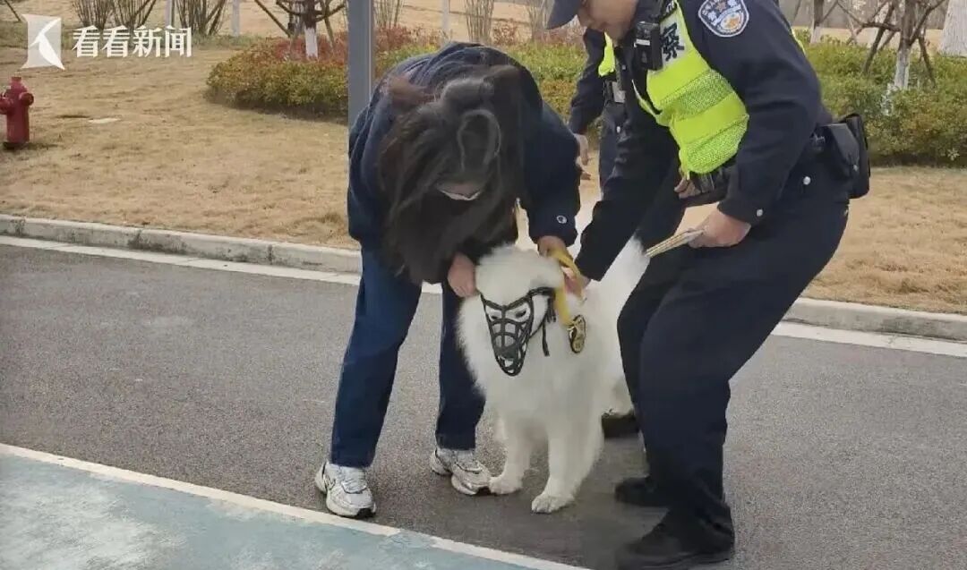 下月起，不文明养犬行为最高可拘留10天罚1000元，网友：希望张贴到每个小区