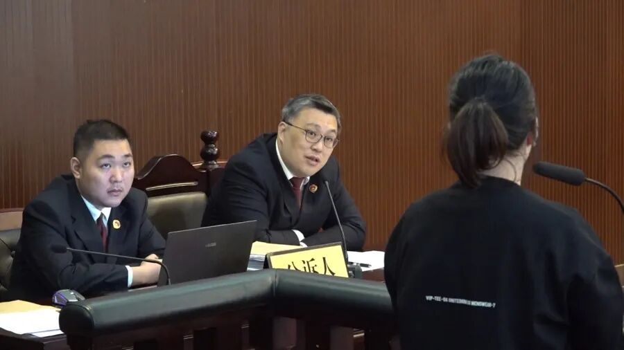 以上海2套别墅为诱饵，“职业背债人”团伙诈骗1500多万元！检方对6人提起公诉