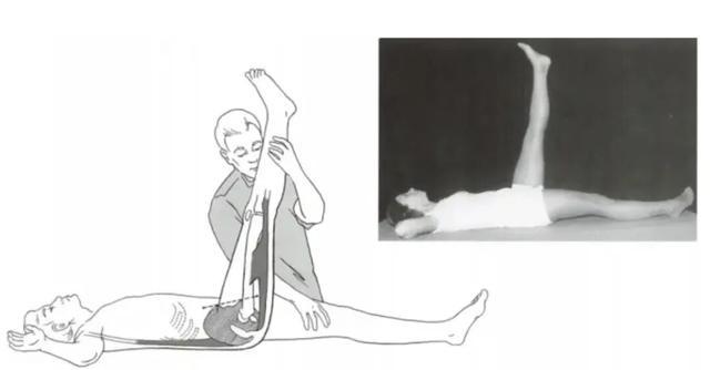 人最需要锻炼的1块肌肉！不想老了受罪，现在练还不晚