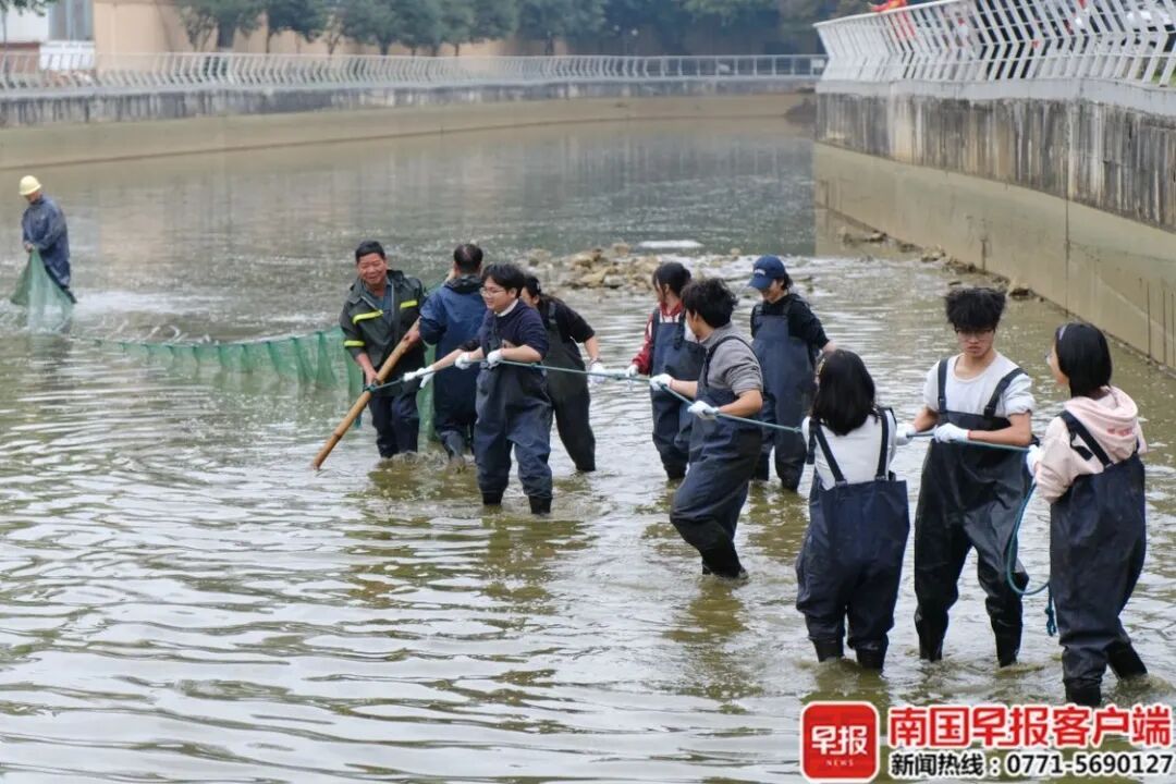 8000斤鱼免费吃！广西这所大学又开始“摸鱼”