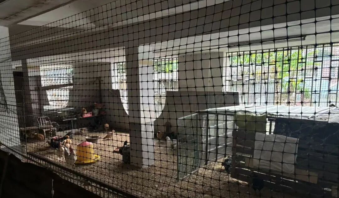 男子别墅竟被邻居强占，警方介入后对方仍多次潜入转移物品