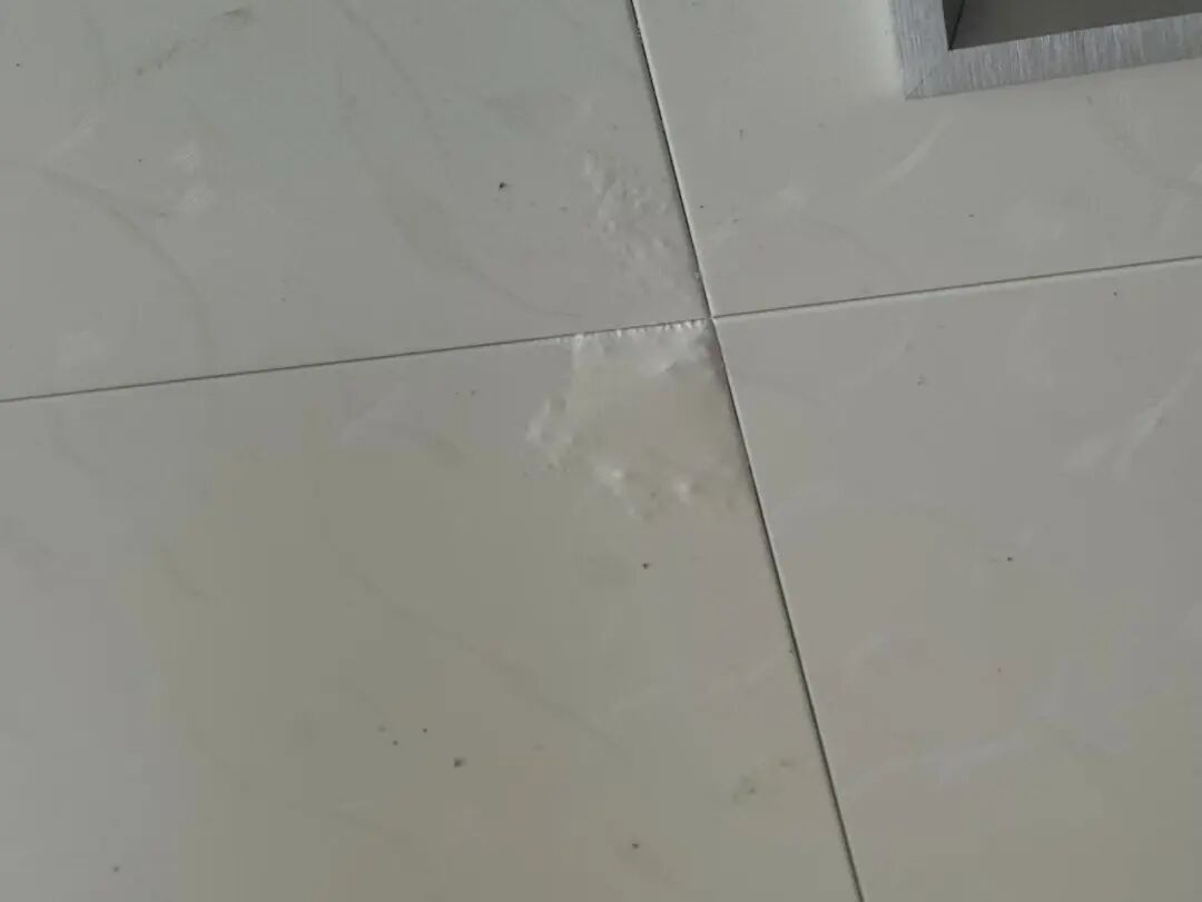 楼上金毛犬满屋跑、地漏撒尿，浙江退休阿姨崩溃：我的新生活全毁了