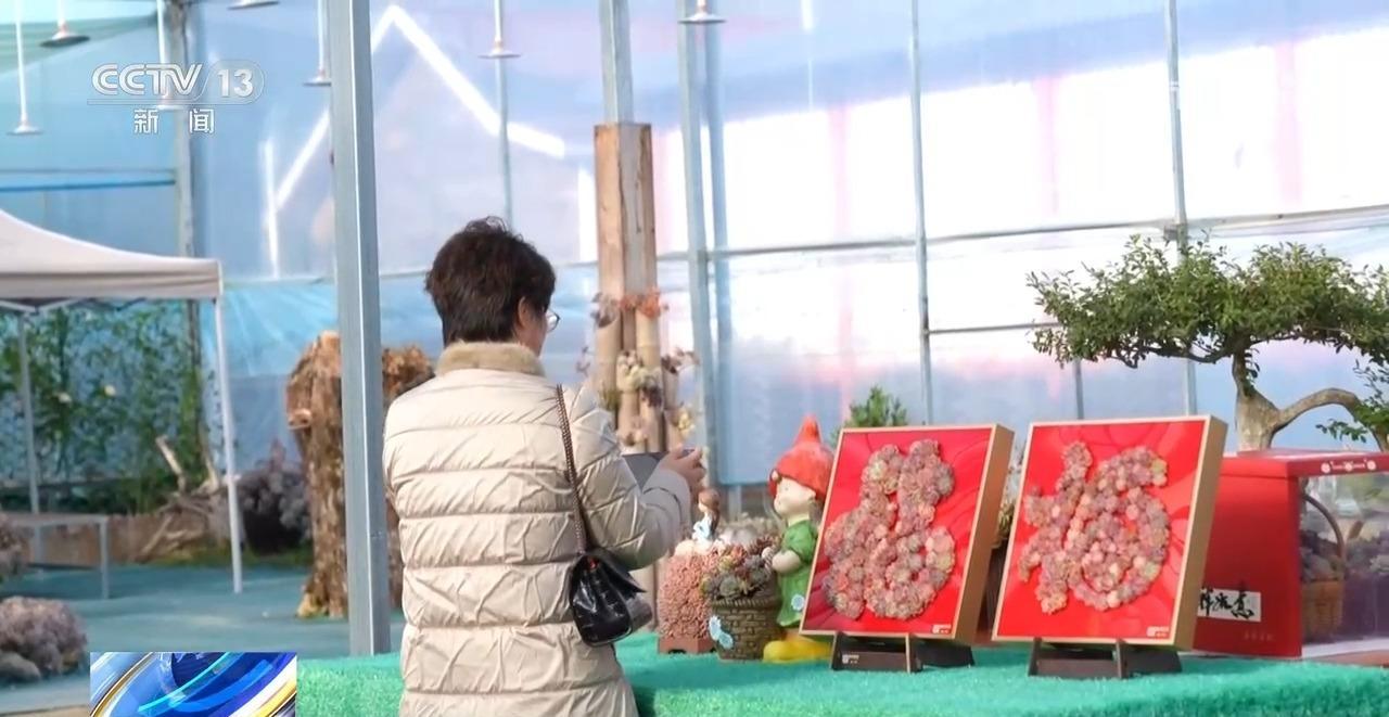 新年仪式感提前上线！特色花卉走俏国内外市场