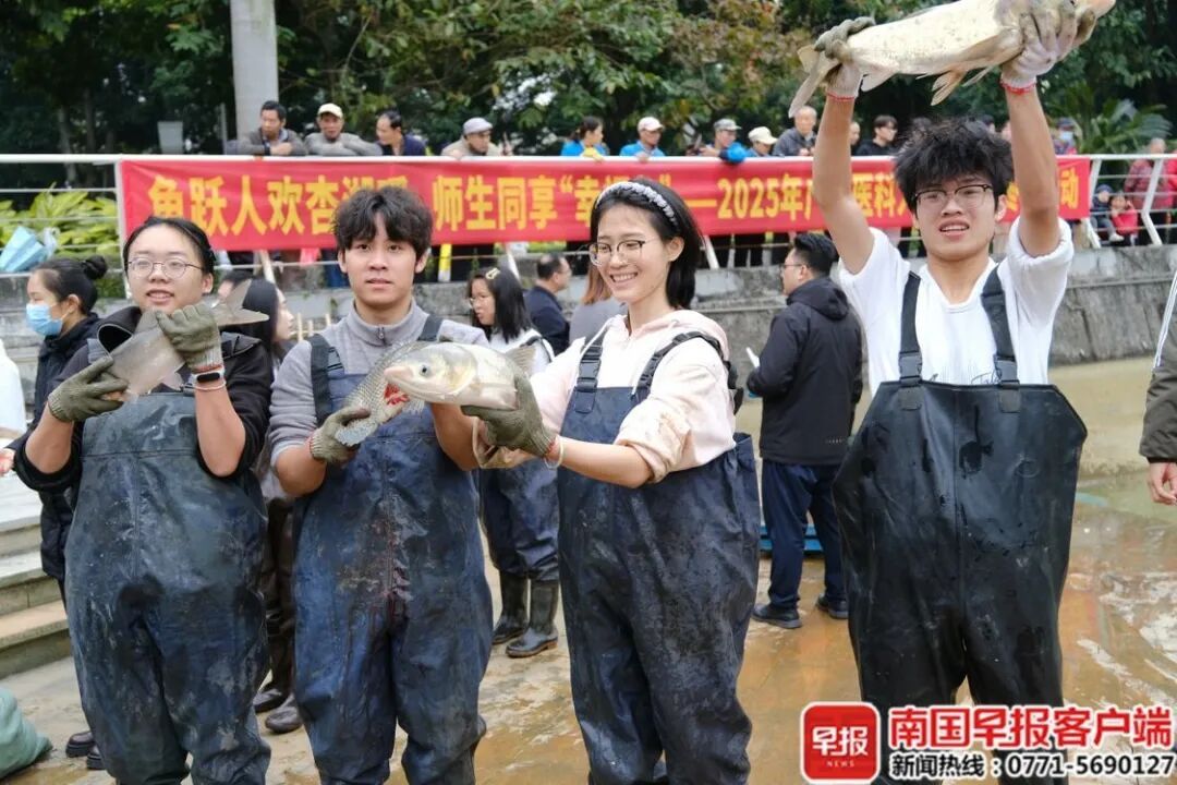 8000斤鱼免费吃！广西这所大学又开始“摸鱼”