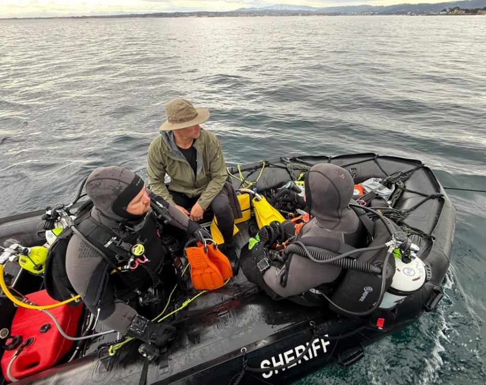 美国女子被鲨鱼叼走，丈夫亲眼目睹，遗体在海上漂流一周后被发现