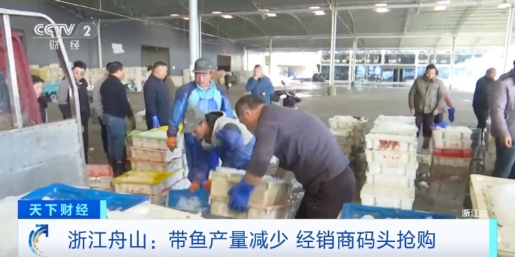 经销商在抢“它”！今年太紧俏了