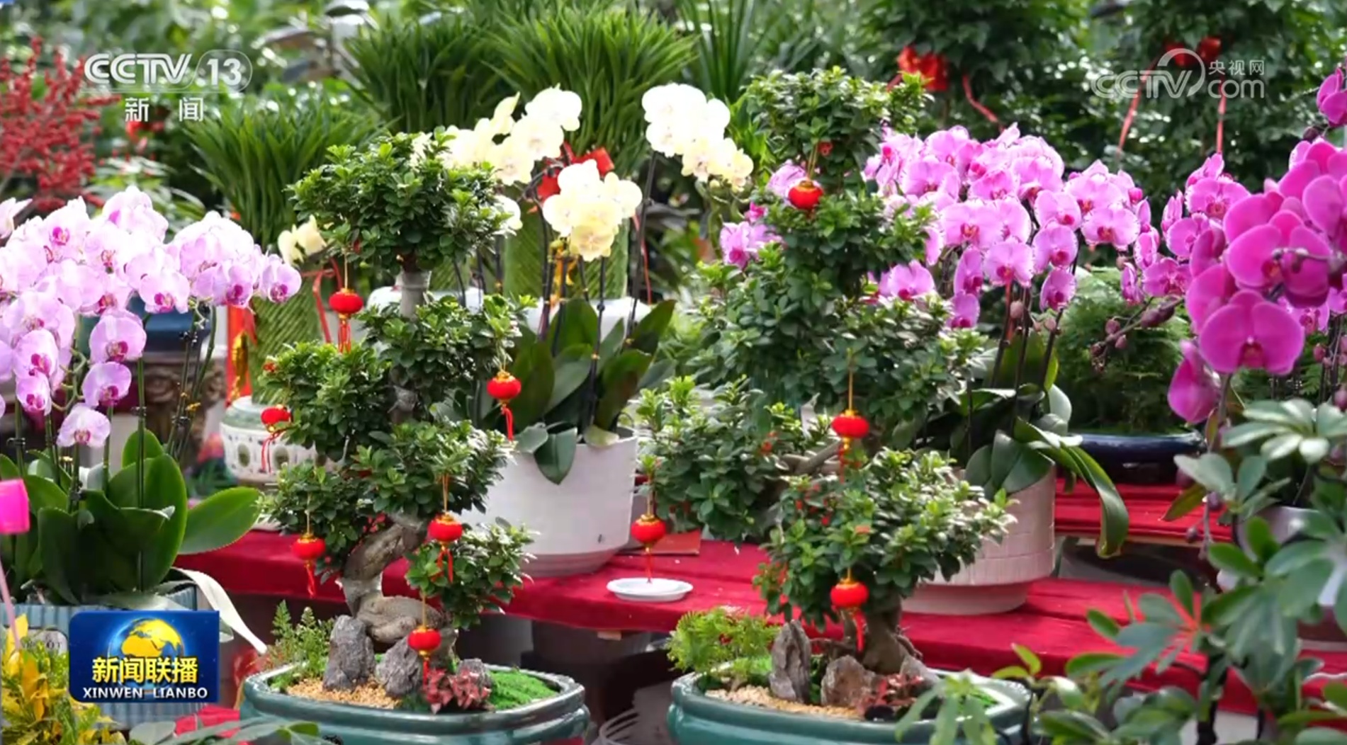 各地装扮一新迎接新年