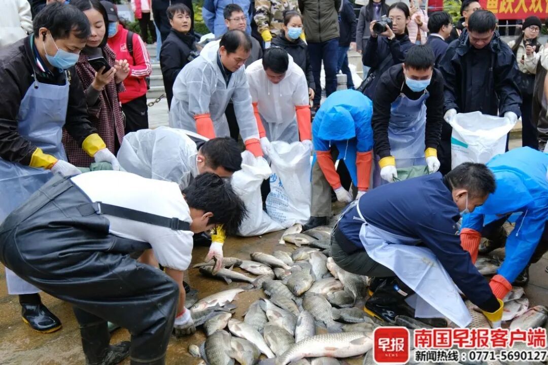 8000斤鱼免费吃！广西这所大学又开始“摸鱼”