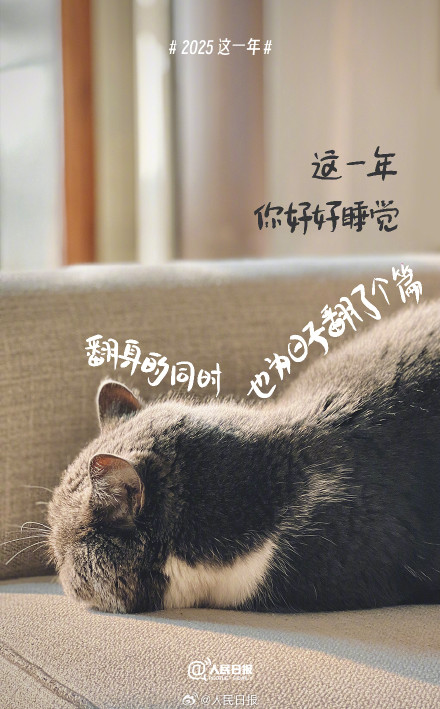 2025这一年你过得怎么样 2025这一年你过得怎么样