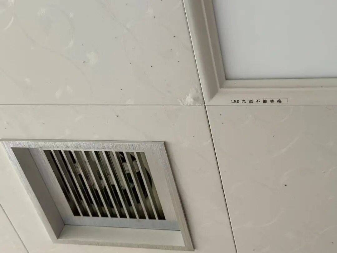 楼上金毛犬满屋跑、地漏撒尿，浙江退休阿姨崩溃：我的新生活全毁了