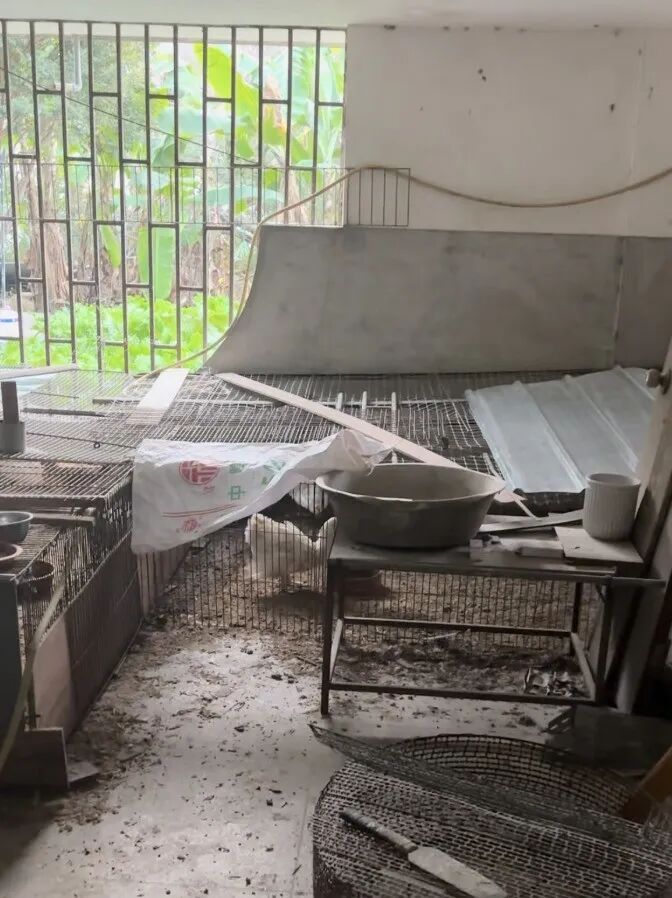 男子别墅竟被邻居强占，警方介入后对方仍多次潜入转移物品