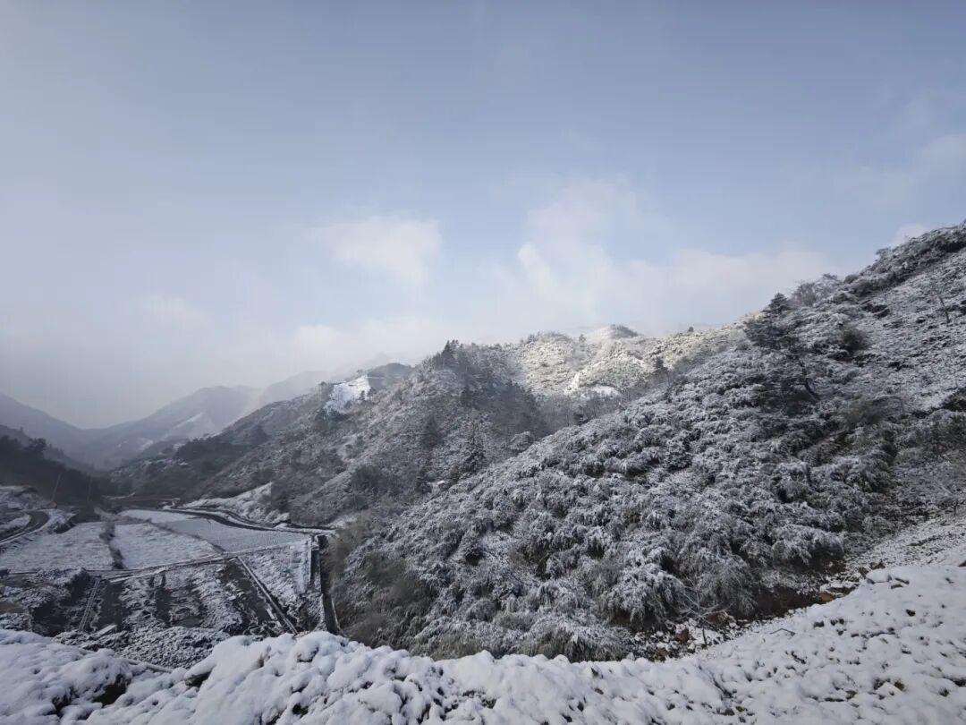 暴跌近10℃！雨夹雪、雪！马上影响杭州，这波真的猛...
