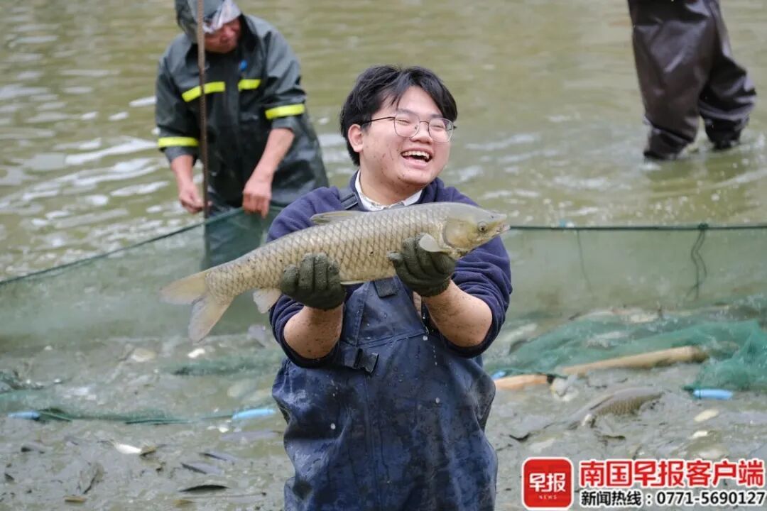 8000斤鱼免费吃！广西这所大学又开始“摸鱼”