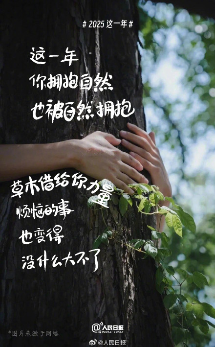 2025这一年你过得怎么样 2025这一年你过得怎么样