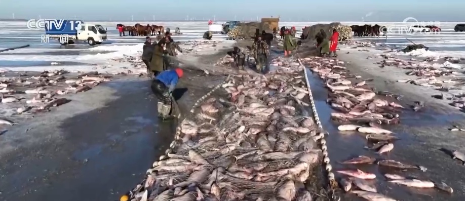 消费、出入境游、冰雪游，热热热！假日氛围拉满 多领域掀热潮释放经济“热”活力