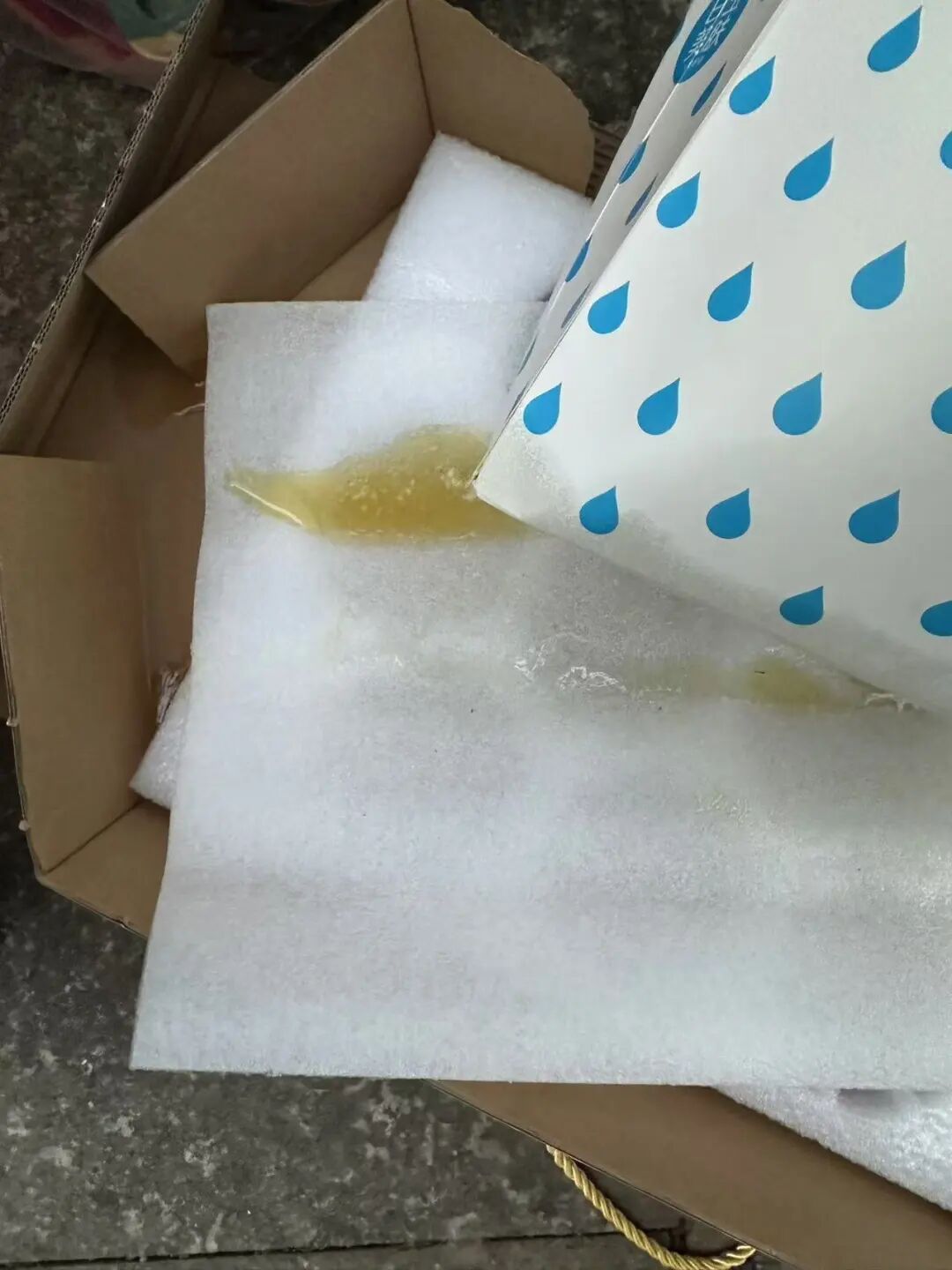 楼上金毛犬满屋跑、地漏撒尿，浙江退休阿姨崩溃：我的新生活全毁了