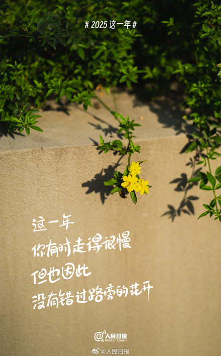 2025这一年你过得怎么样 2025这一年你过得怎么样