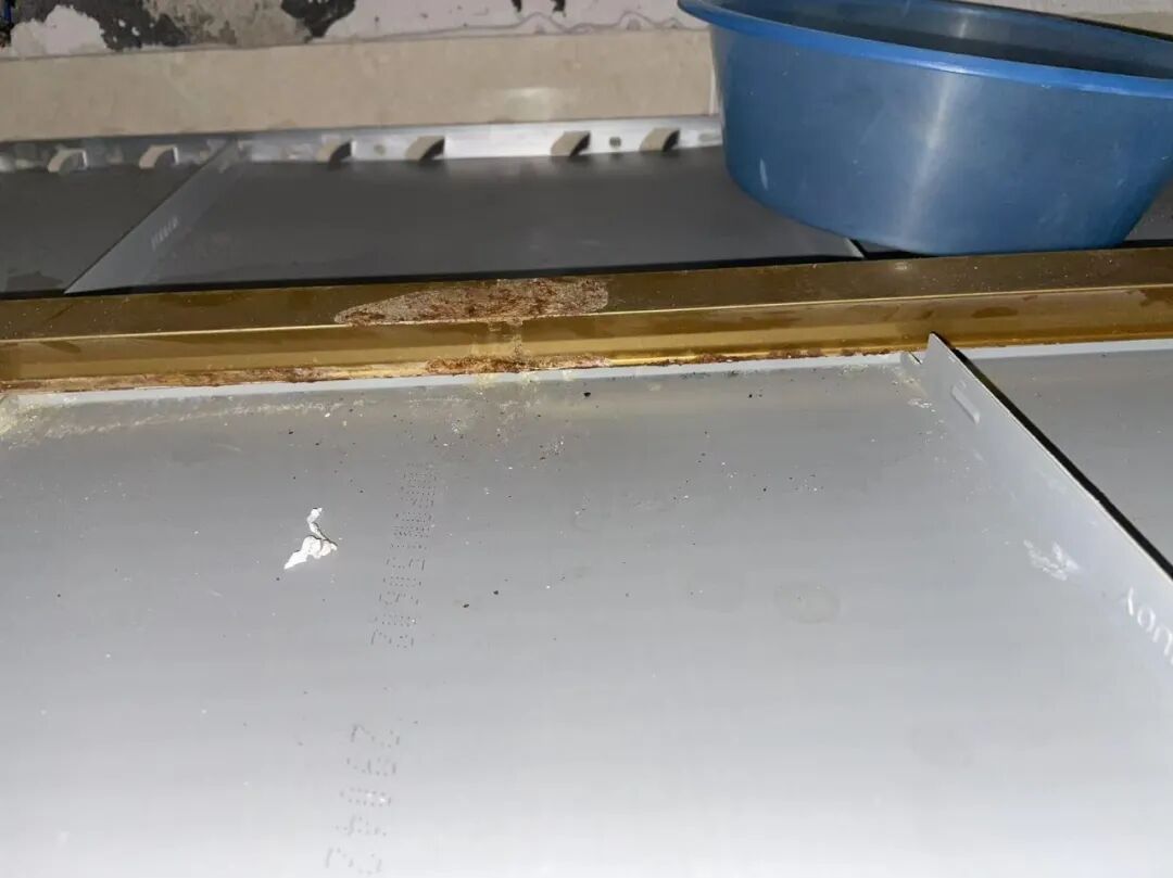 楼上金毛犬满屋跑、地漏撒尿，浙江退休阿姨崩溃：我的新生活全毁了