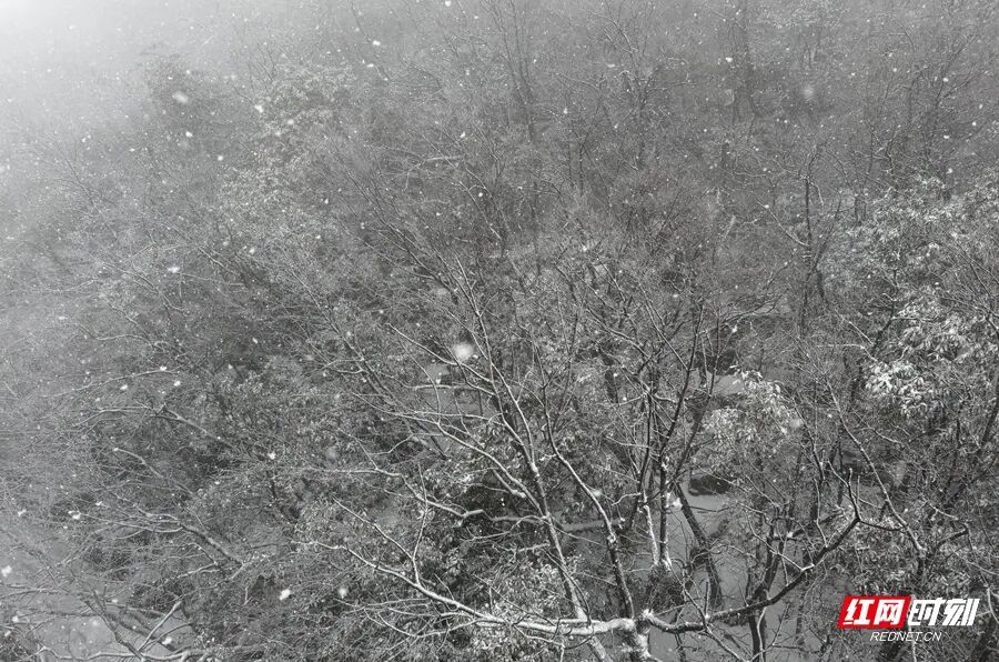 张家界多个景区迎来降雪，元旦可赴冰雪之约