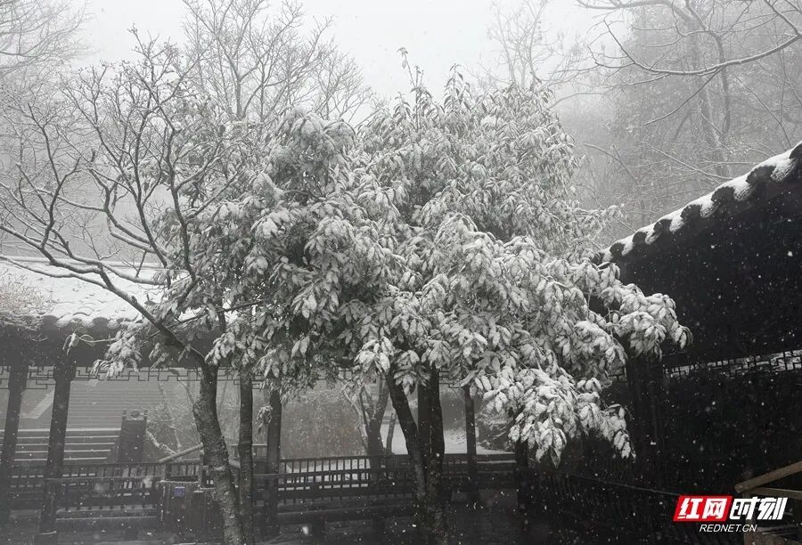 张家界多个景区迎来降雪，元旦可赴冰雪之约