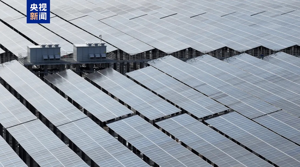 水上发电、水下养殖 江苏沿海最大渔光互补光伏项目并网发电