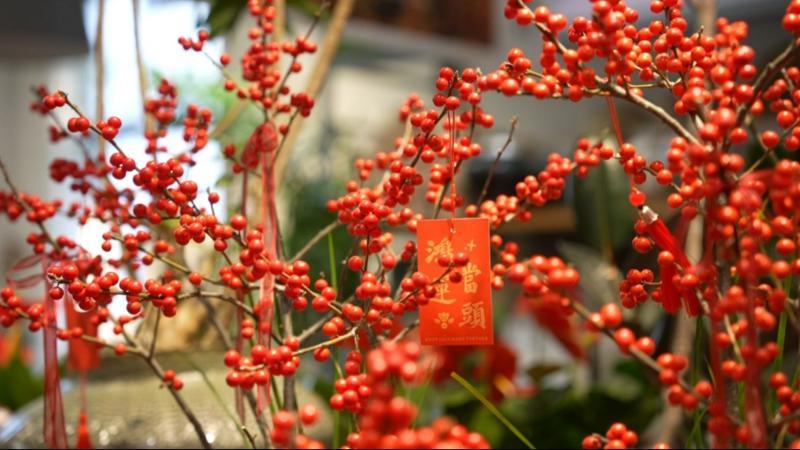 江西新余：元旦鲜花消费热 “美丽经济”开启新年新活力
