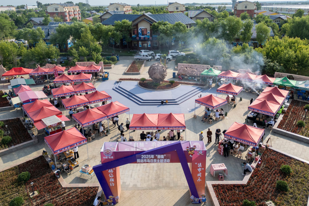 “村潮”奔涌！“村字号”助力乡村更美好