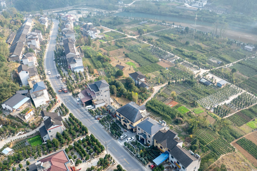 “村潮”奔涌！“村字号”助力乡村更美好