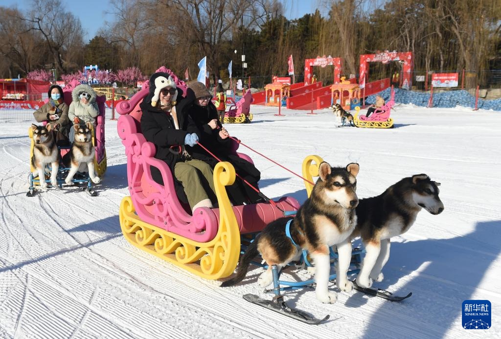 圆明园里畅享冰雪盛宴