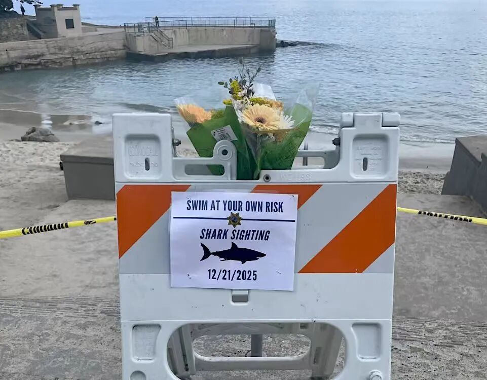 被鲨鱼叼走一周后，她的遗体被找到！生前喜欢研究鲨鱼，曾为鲨鱼辩护