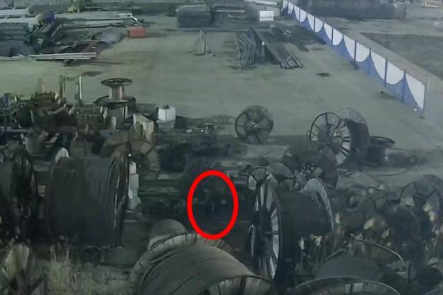 入职一月，盗窃6次！这个员工“不简单”