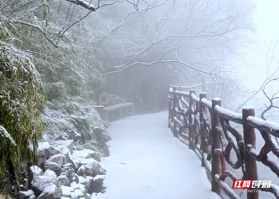张家界多个景区迎来降雪，元旦可赴冰雪之约