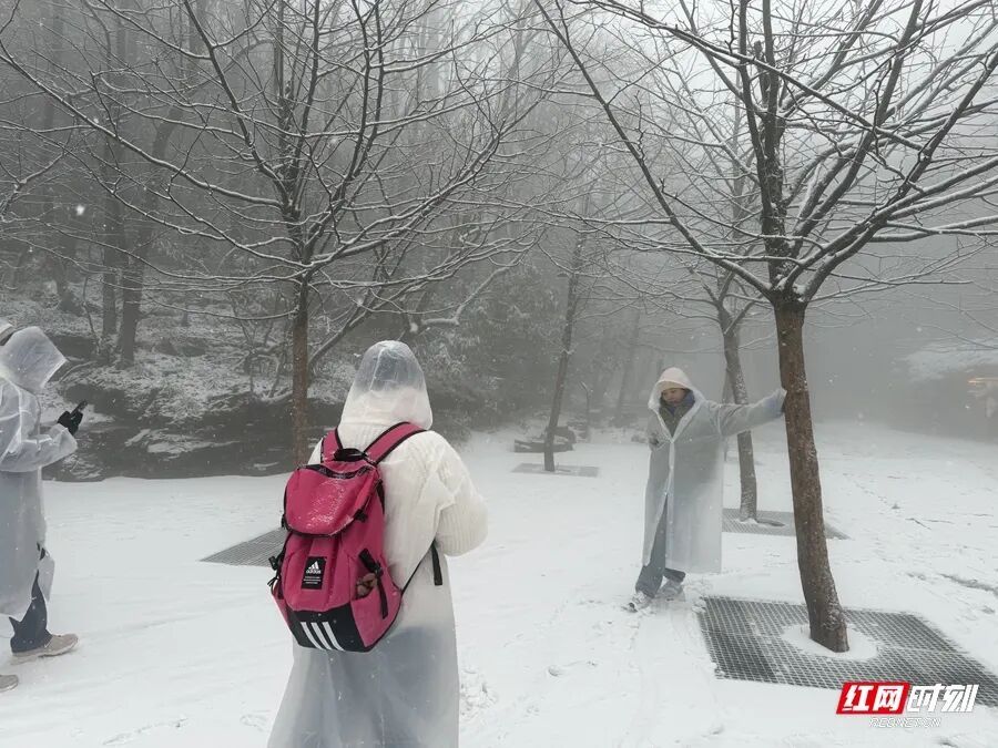 张家界多个景区迎来降雪，元旦可赴冰雪之约
